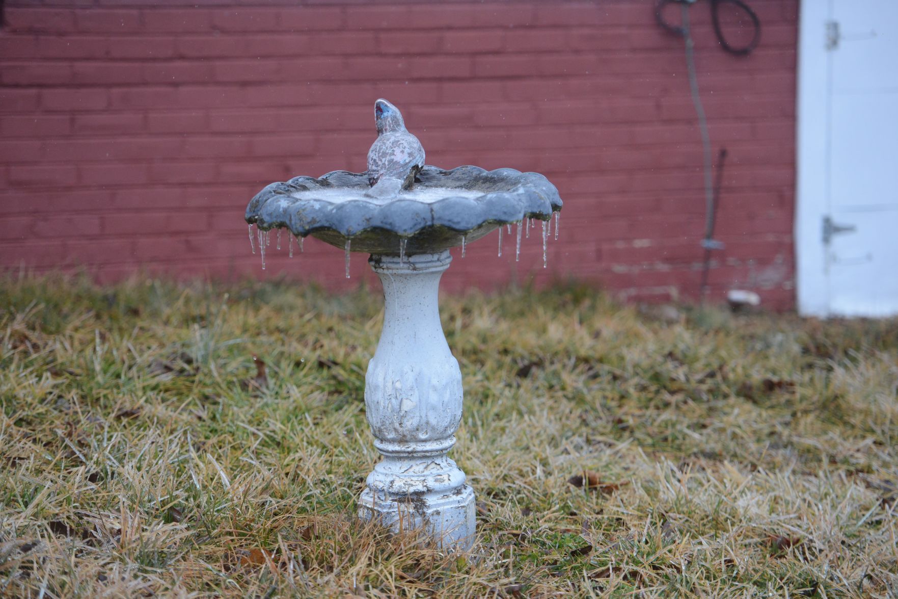 Birdbath.jpg